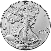 American Eagle ( silver Coin )